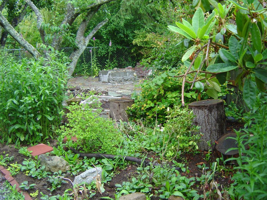 20240719-205303015-92a9-d821b8e9136e_Garden June 18, 2007 050.jpg